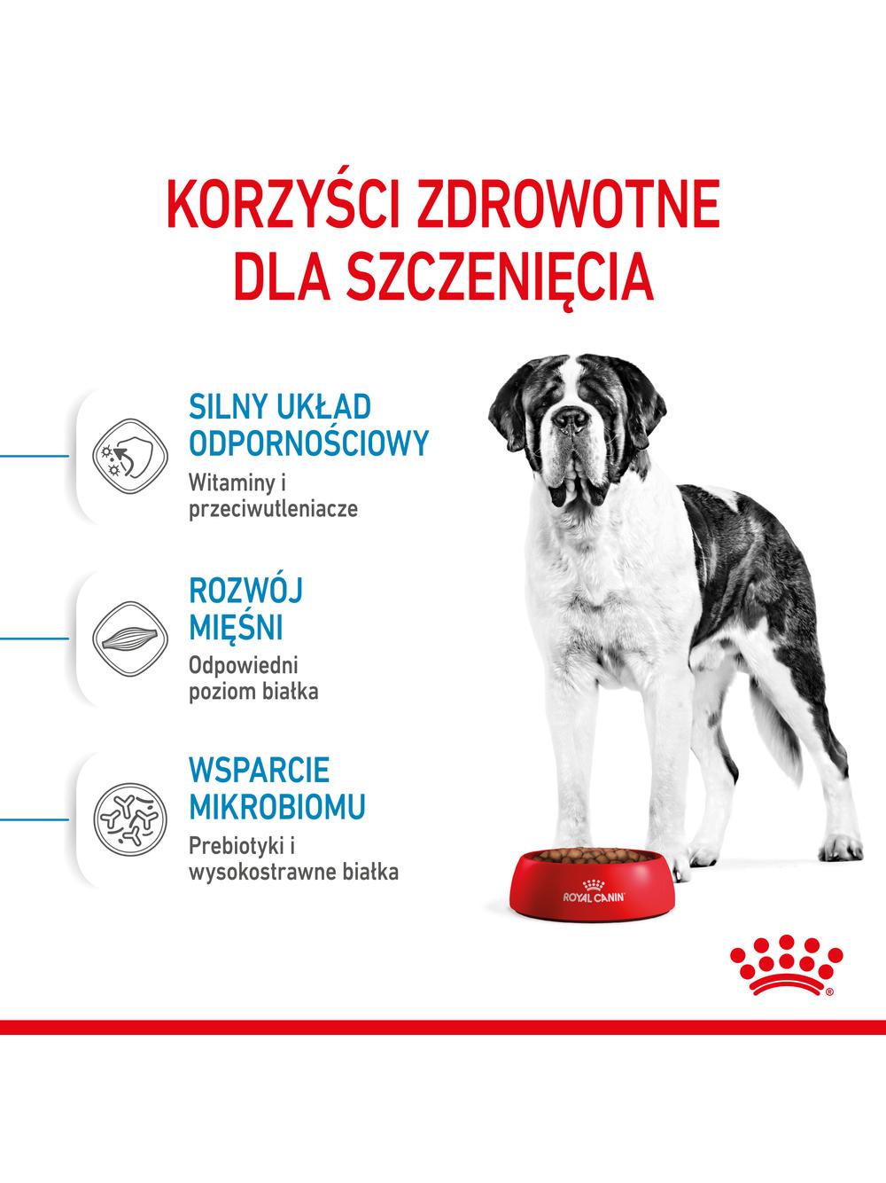 ROYAL CANIN Giant Junior 15kg karma sucha dla szczeniąt  od 8 do 18/24 miesiąca życia, ras olbrzymich