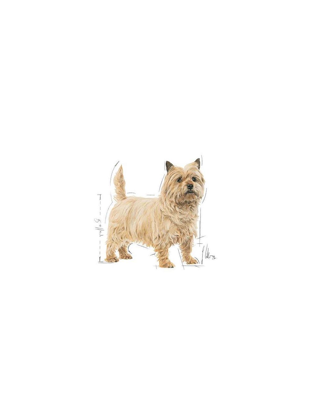 ROYAL CANIN CCN Mini Light Weight Care 3kg karma sucha dla psów dorosłych, ras małych z tendencją do nadwagi