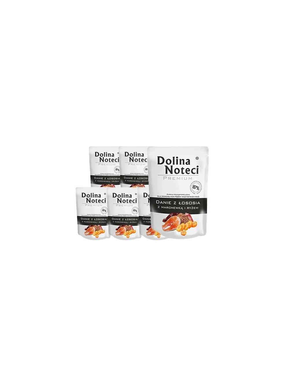 DOLINA NOTECI Danie z łososia z marchewką i ryżem 10x300g-karma mokra dla psa