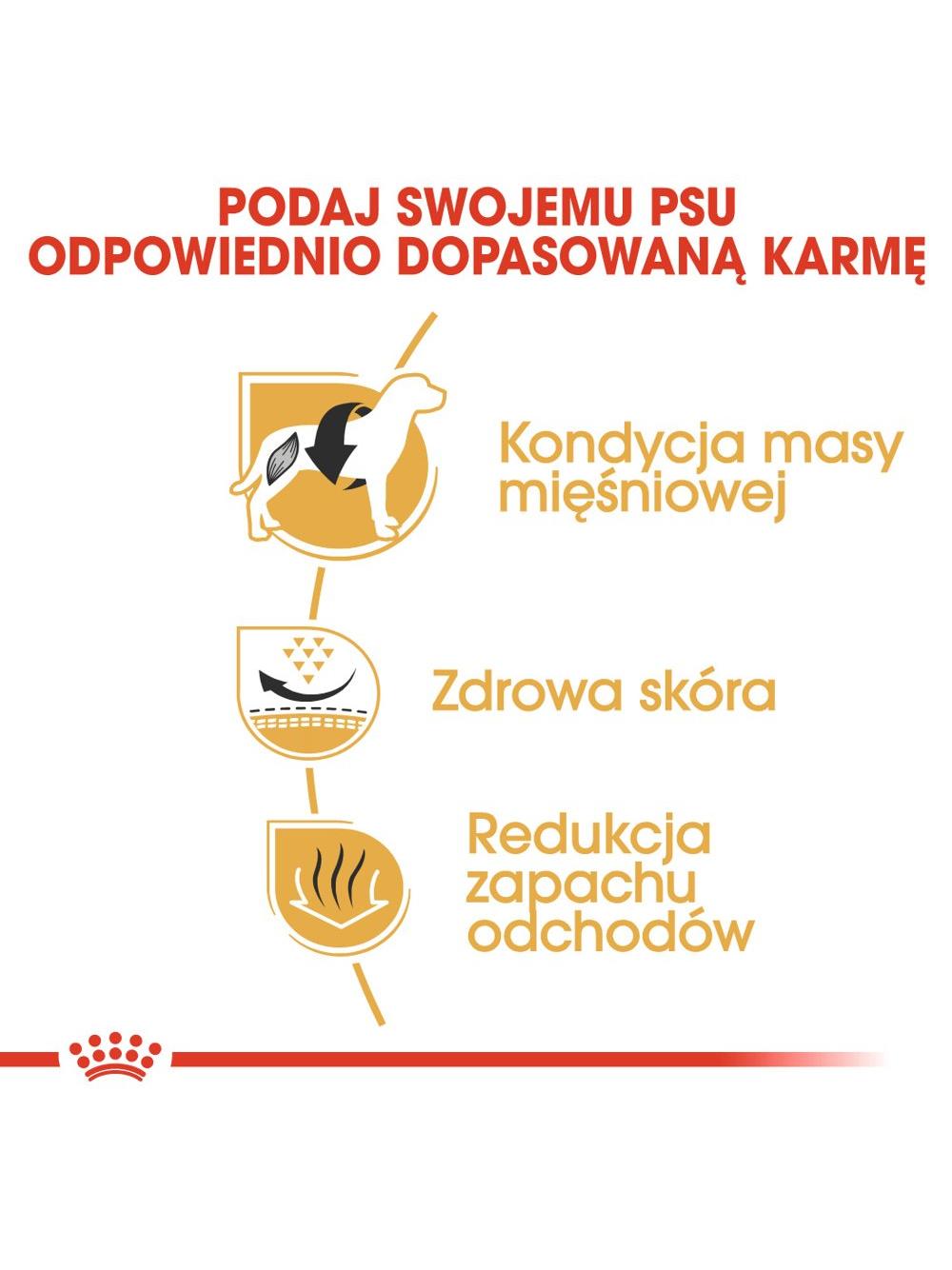 ROYAL CANIN French Bulldog Adult 3kg karma sucha dla psów dorosłych rasy bulldog francuski + 	NIESPODZIANKA DLA PSA GRATIS!!!