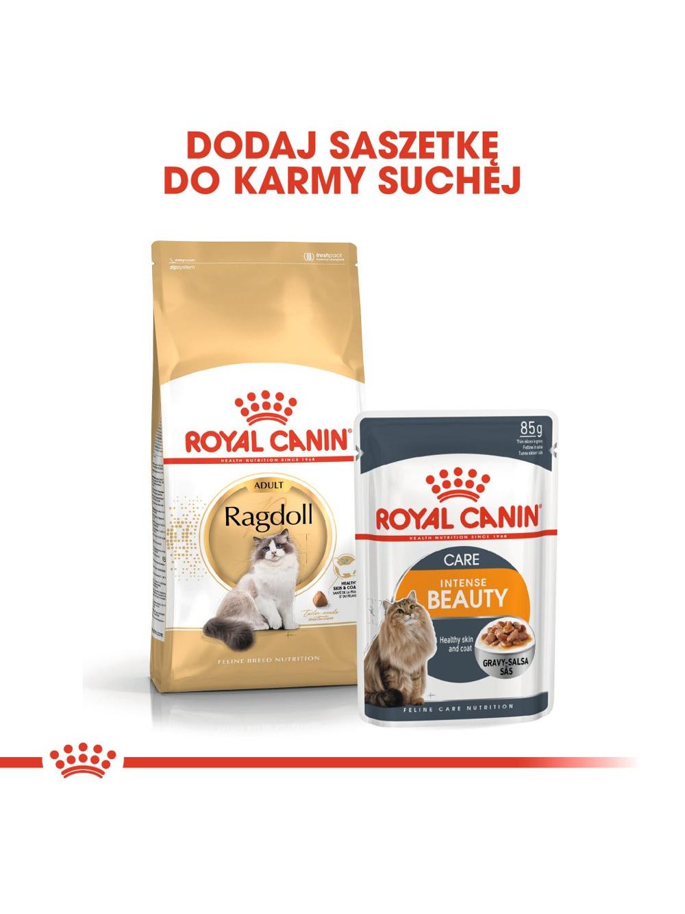 ROYAL CANIN Ragdoll Adult 2kg karma sucha dla kotów dorosłych rasy ragdoll