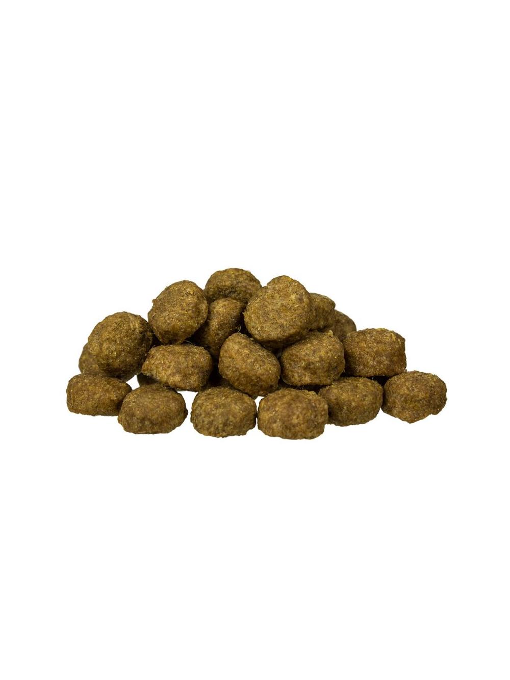 Bosch Junior Lamb & Rice, jagnięcina i ryż (nowa receptura) 15kg