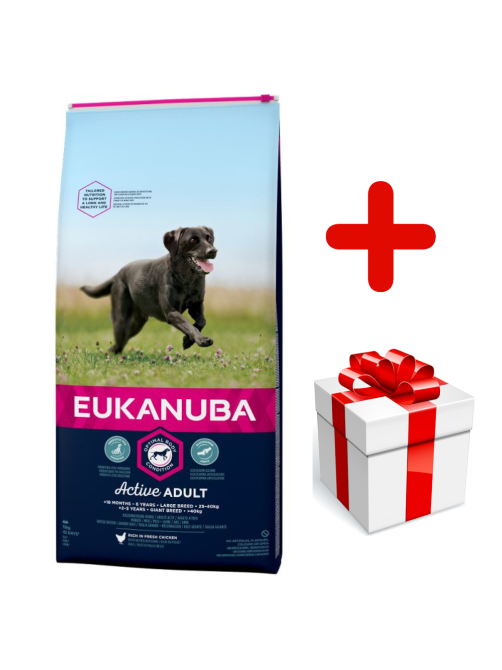 Eukanuba adult large breed chicken 15kg + niespodzianka dla psa GRATIS!