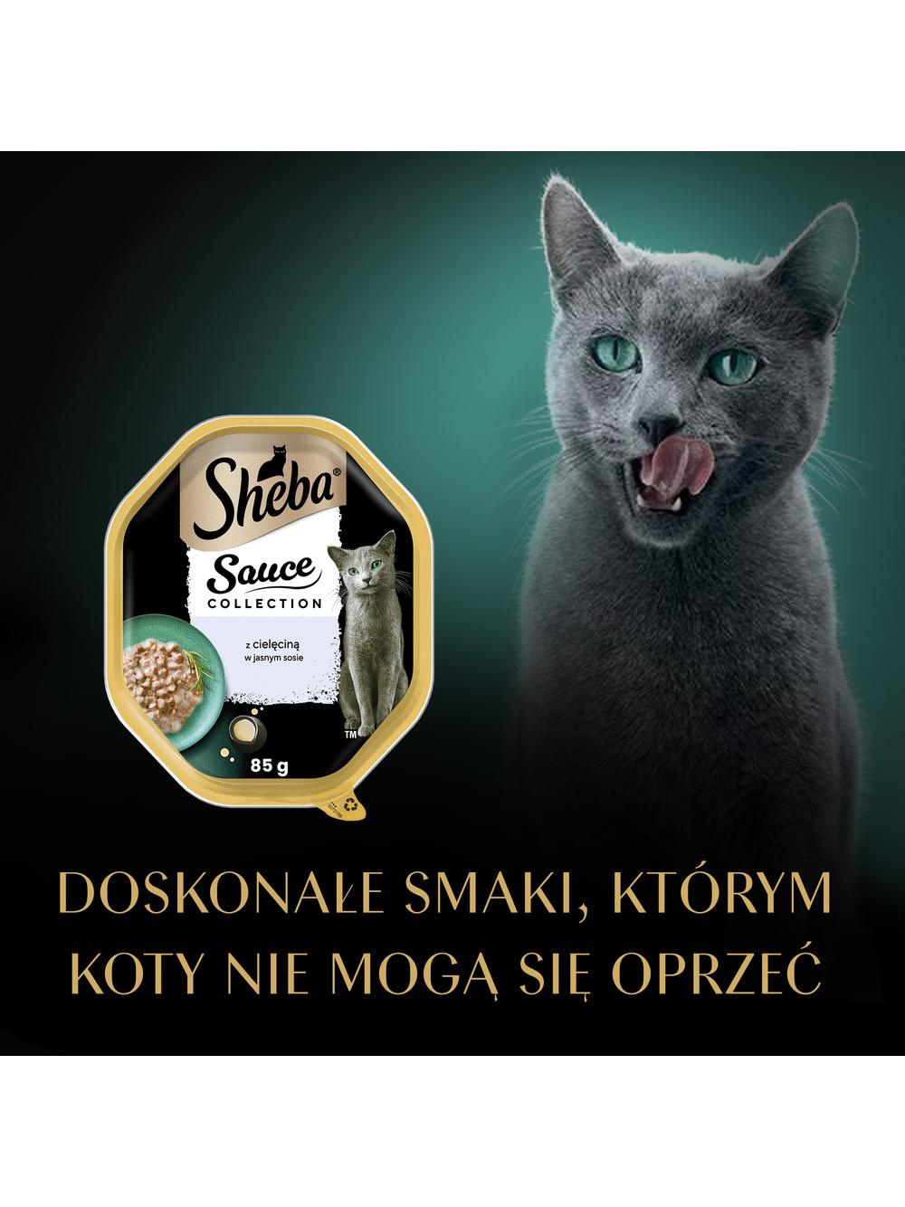 SHEBA Sauce Collection tacka 22x85g – mokra karma pełnoporcjowa dla dorosłych kotów, kawałki z cielęciną, w sosie