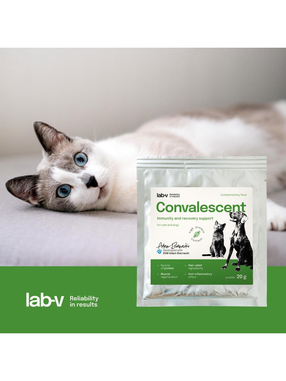 Lab-v Convalescent - karma paszowa dietetyczna dla psów i kotów 20 g