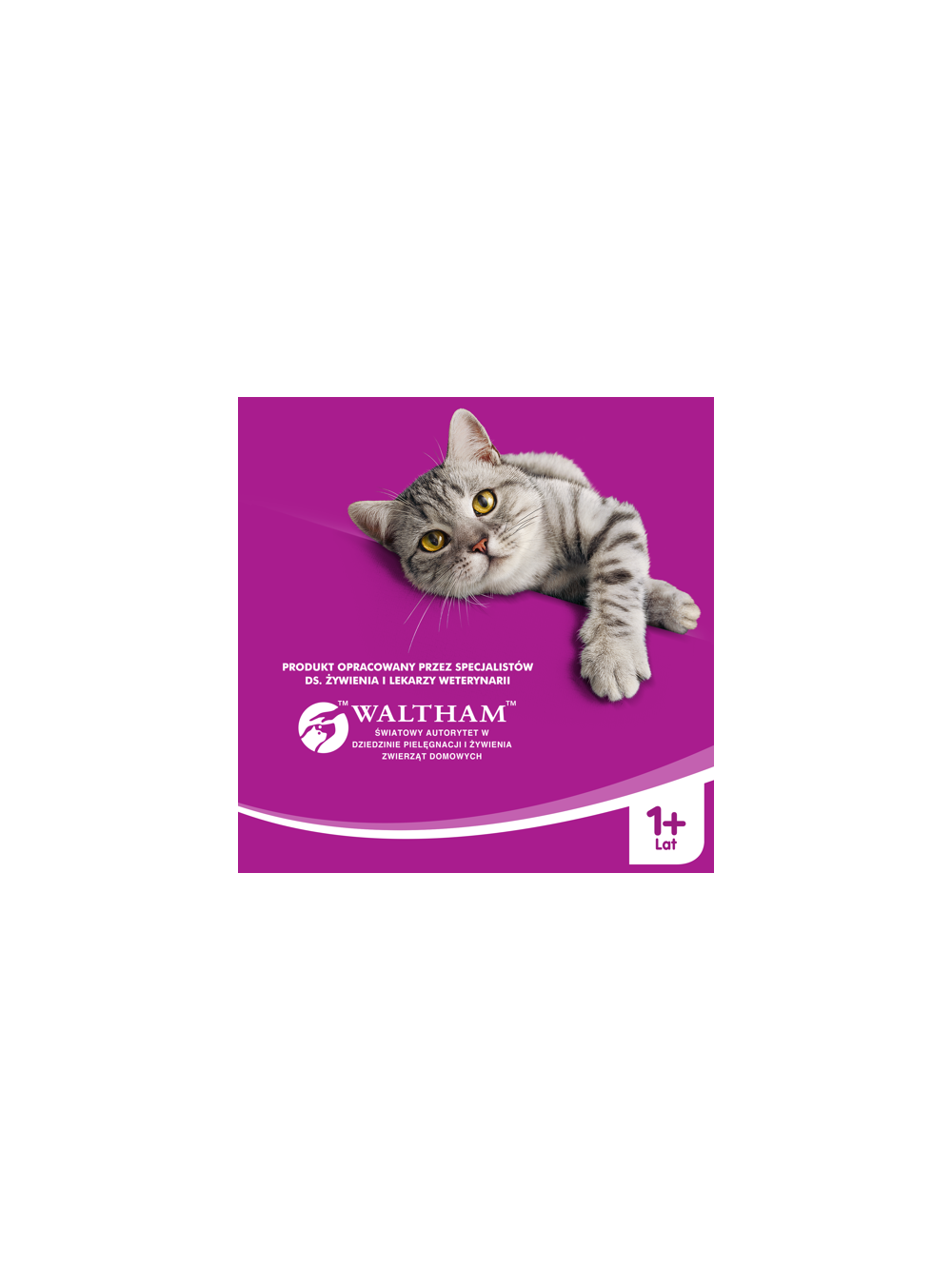 WHISKAS Adult puszka 24x400 g - mokra karma dla dorosłego kota, kawałki z wołowiną w sosie