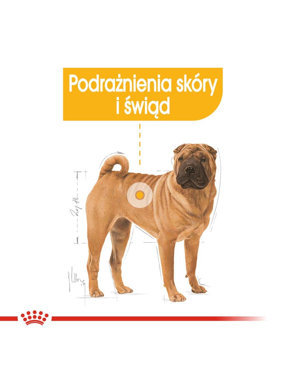 ROYAL CANIN CCN Medium Dermacomfort 12kg karma sucha dla psów dorosłych, ras średnich, o wrażliwej skórze, skłonnej do podrażnień / Opakowanie uszkodzone (4031,4529) !!!