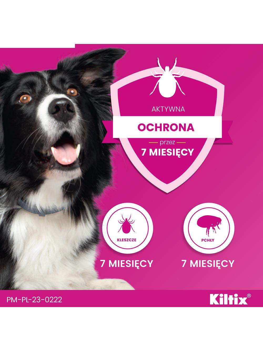 Kiltix Obroża dla psów średnich dł, 53cm+ TRIXIE Szczypce do usuwania kleszczy 9cm