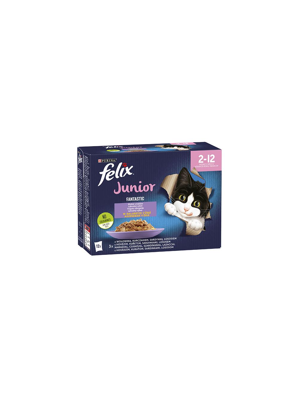 FELIX Fantastic Junior w galaretce;24x85g