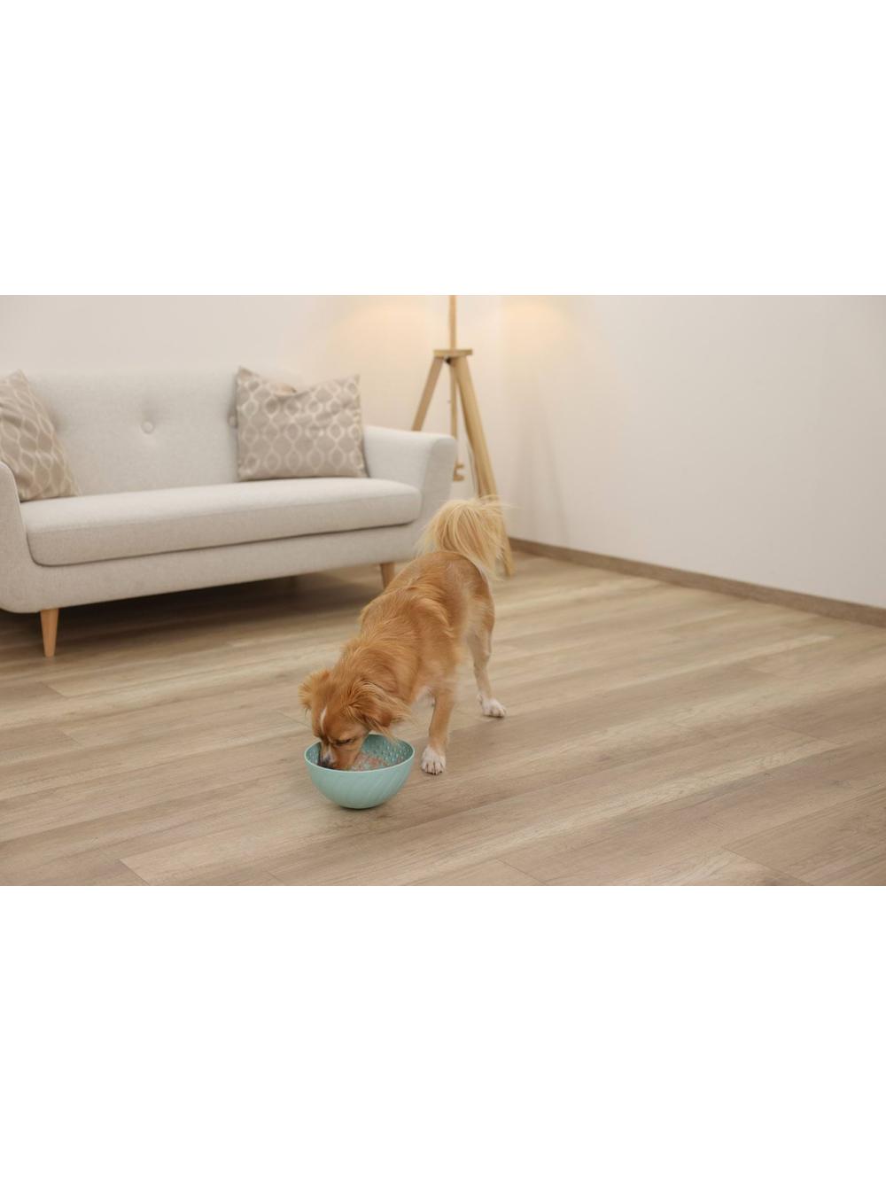 Kerbl Miska do lizania Slippy, śr. 20,5 cm, turkusowy