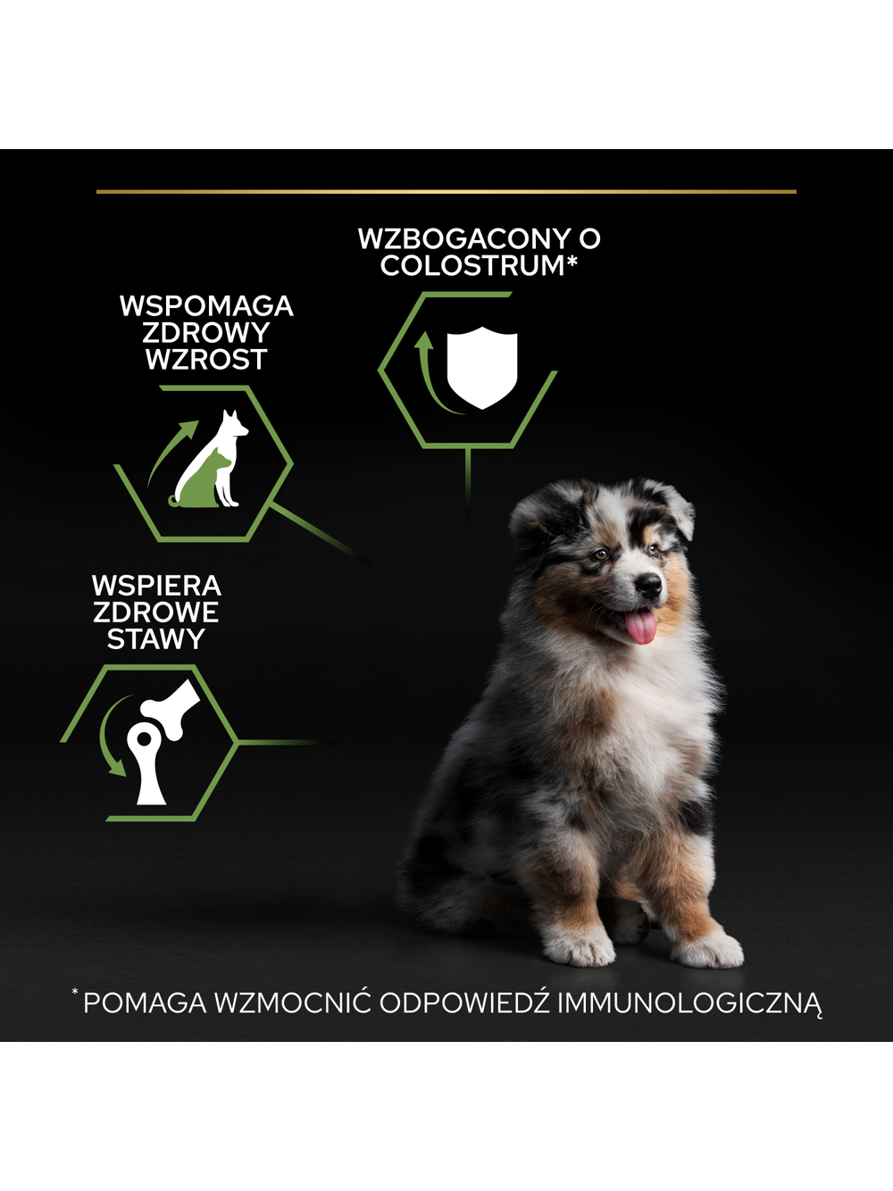 PRO PLAN Health Start Puppy Karma dla szczeniąt bogata w kurczaka 12kg