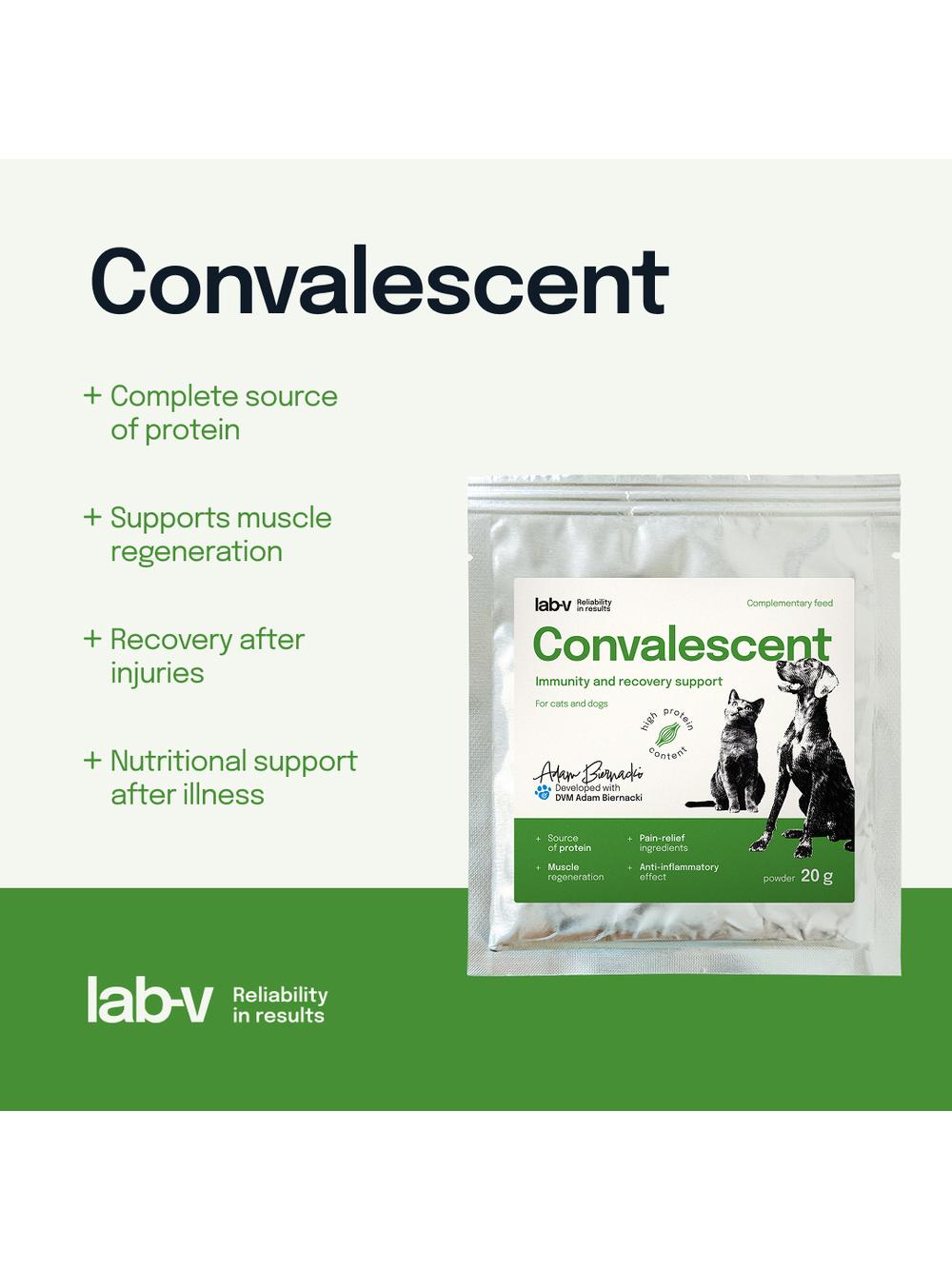 Lab-v Convalescent - karma paszowa dietetyczna dla psów i kotów 20 g