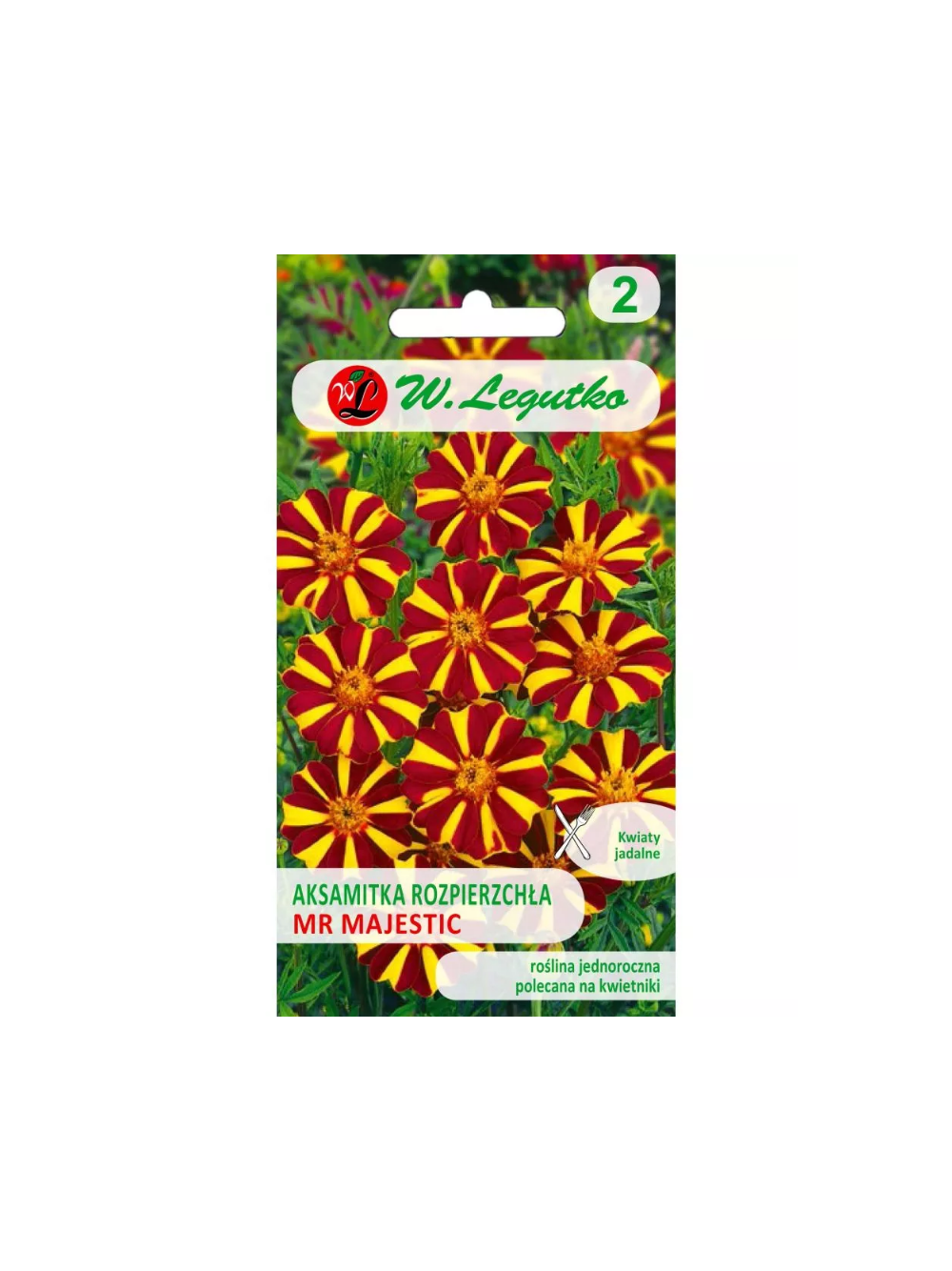 Aksamitka rozpierzchła Mr Majestic mahoniowo-brązowa 0.30g