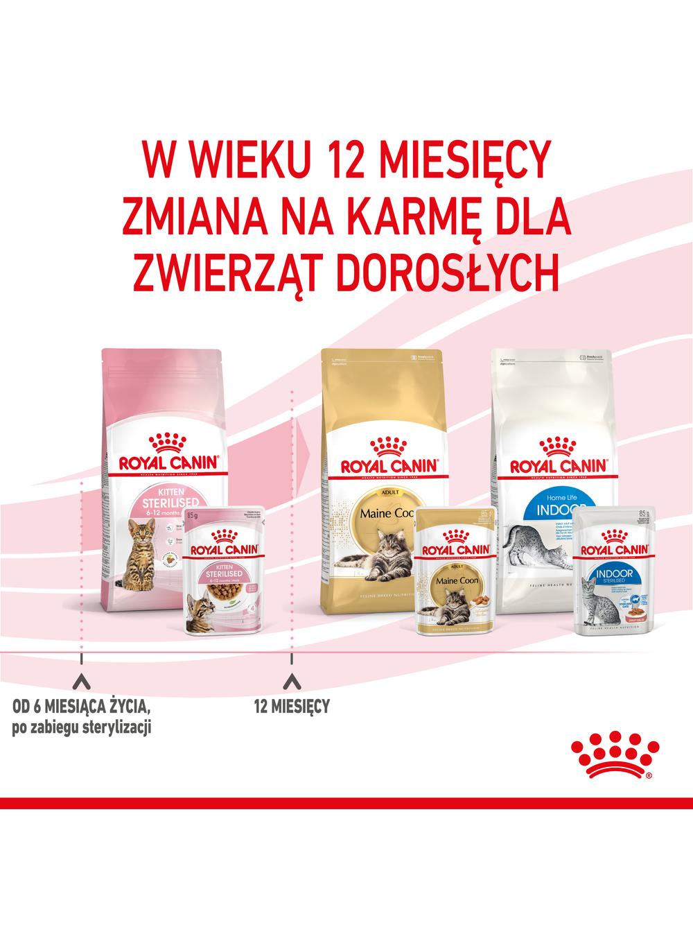 ROYAL CANIN Kitten Sterilised 12x85g karma mokra w sosie dla kociąt do 12 miesiąca życia, sterylizowanych
