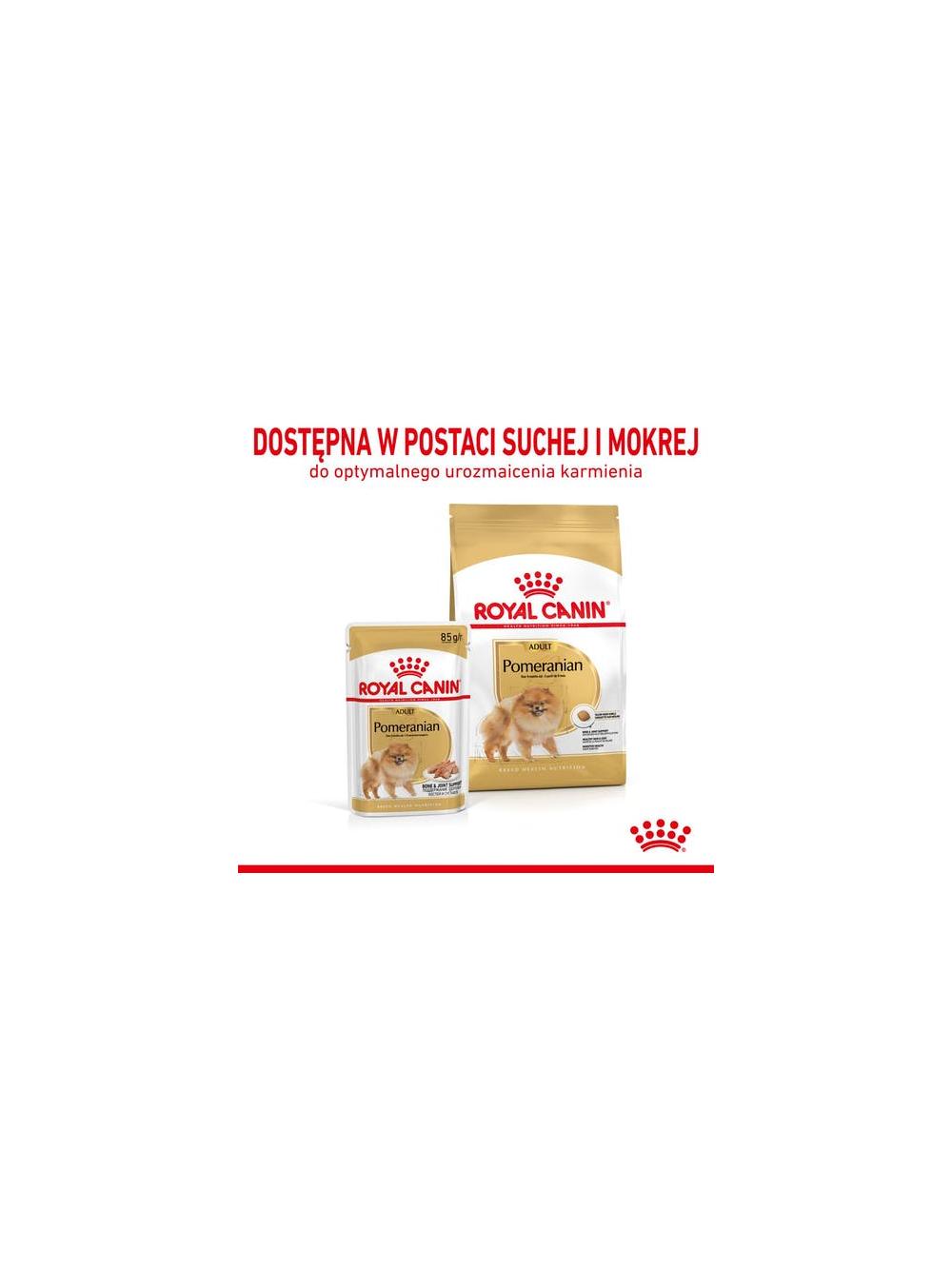 ROYAL CANIN Pomeranian Adult 3kg karma sucha dla psów dorosłych rasy Pomeranian