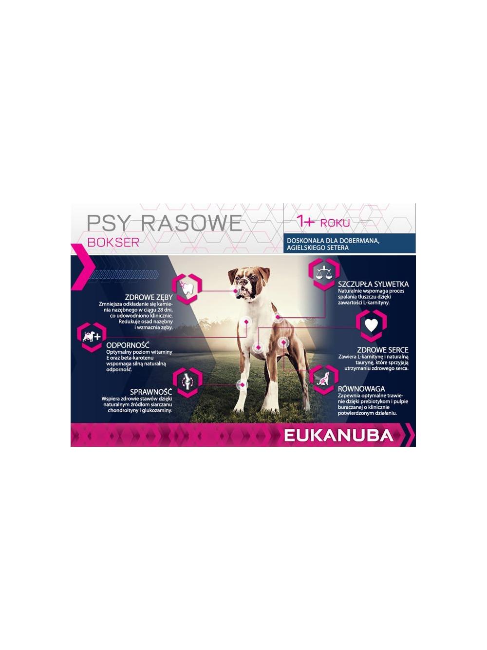 Eukanuba adult boxer 12kg + niespodzianka dla psa GRATIS!