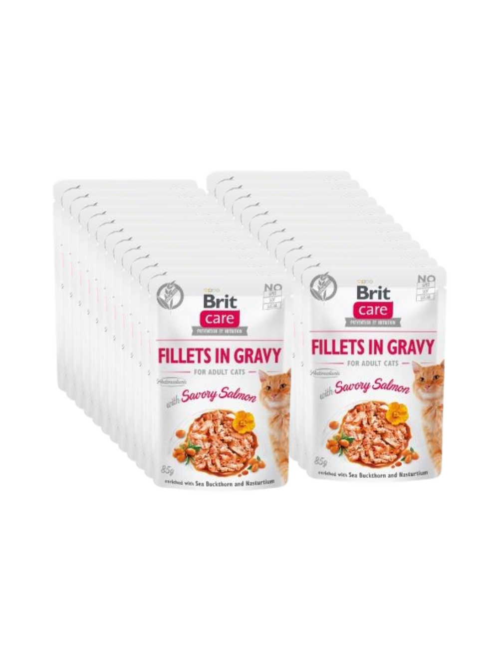 BRIT CARE Cat  Pouches Fillets in Gravy with Savory Salmon 24x85g