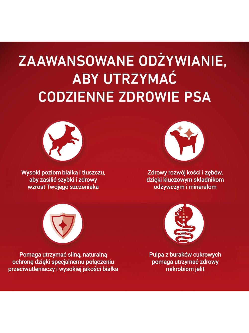 Purina One Junior Mini/Small Karma dla szczeniąt bogata w kurczaka z ryżem 800 g
