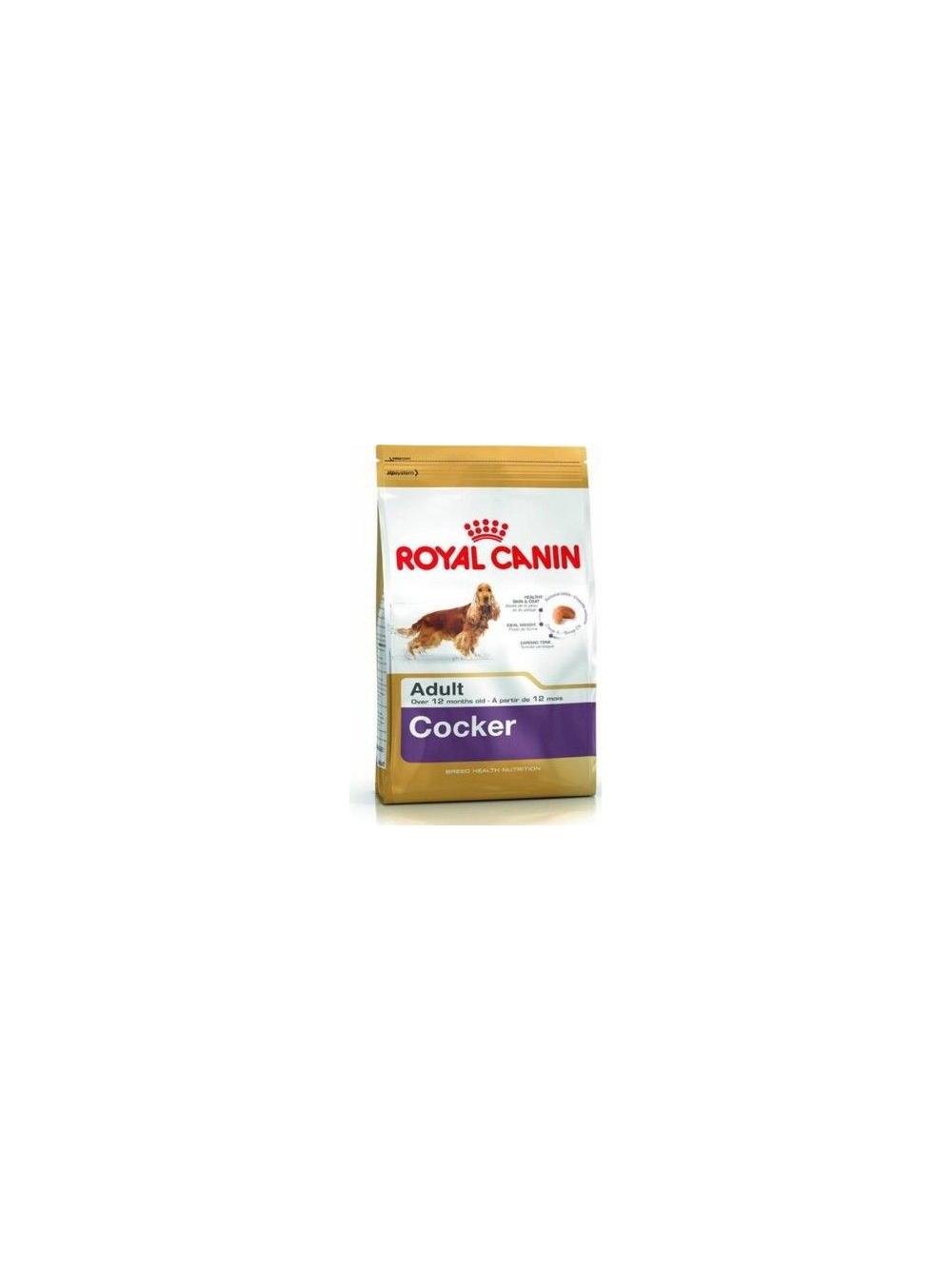 ROYAL CANIN Cocker Spaniel Adult 12kg karma sucha dla psów dorosłych rasy cocker spaniel + niespodzianka dla psa GRATIS!