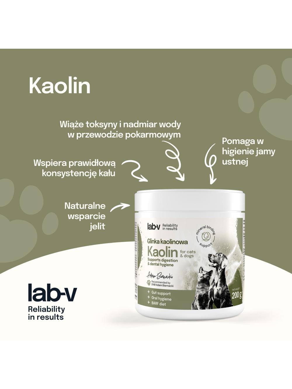 Lab-v Kaolin – wsparcie jelit i higieny jamy ustnej dla psów i kotów 200g
