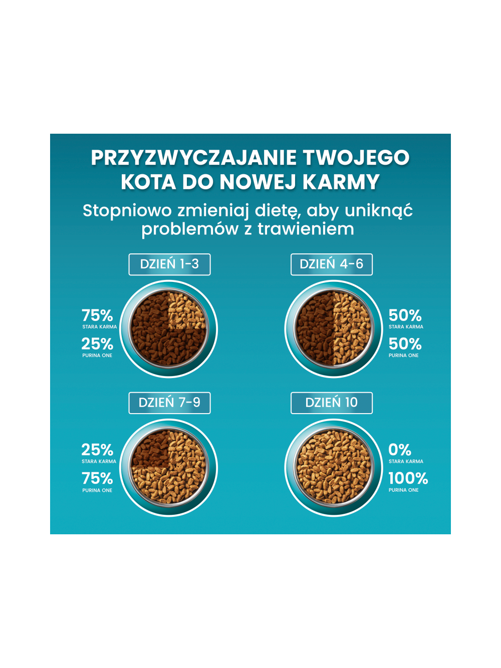 PURINA ONE Bifensis Sterilcat Karma dla kotów bogata w łososia 1,4 kg