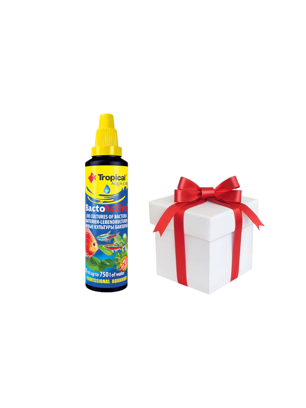 TROPICAL Bacto-Active 250ml + próbka karmy dla rybek Tropical