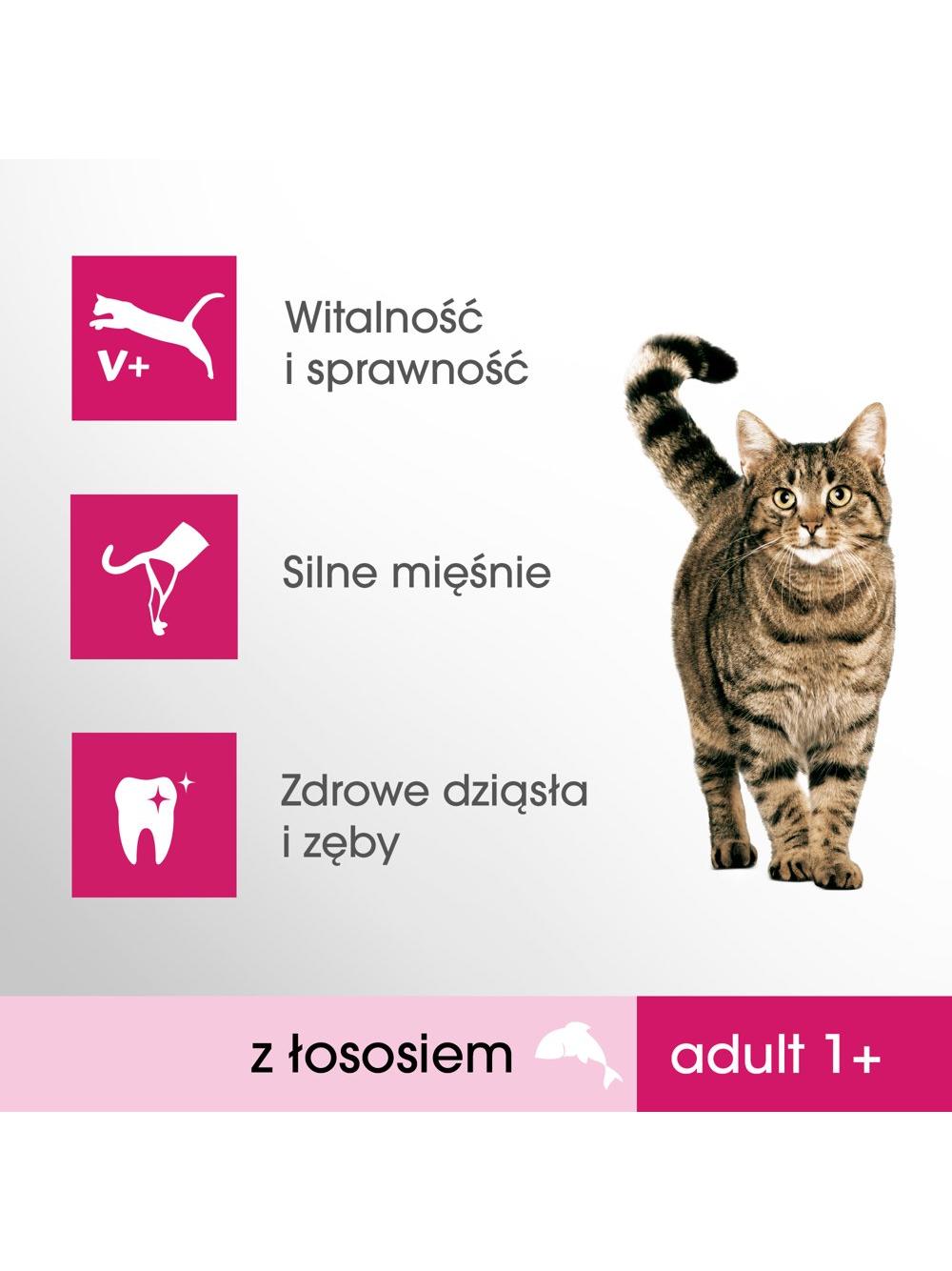 PERFECT FIT (Adult 1+) 3 x 750g Bogaty w łososia - sucha karma dla kotów dorosłych