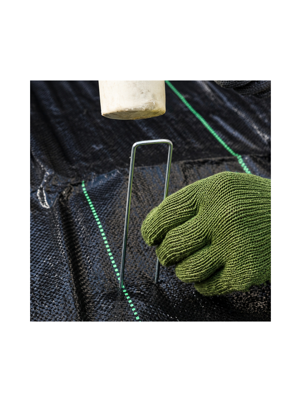 Agrotkanina czarna 50g/m2- 1x50m