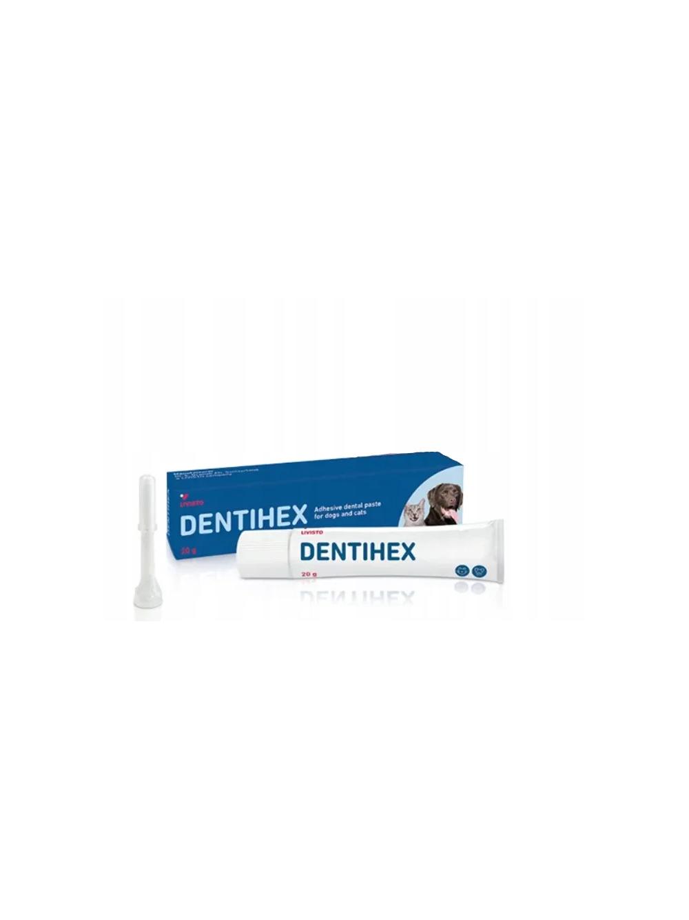 LIVISTO Dentihex Pasta Adhezyjna do zębów dla psa i kota 20g
