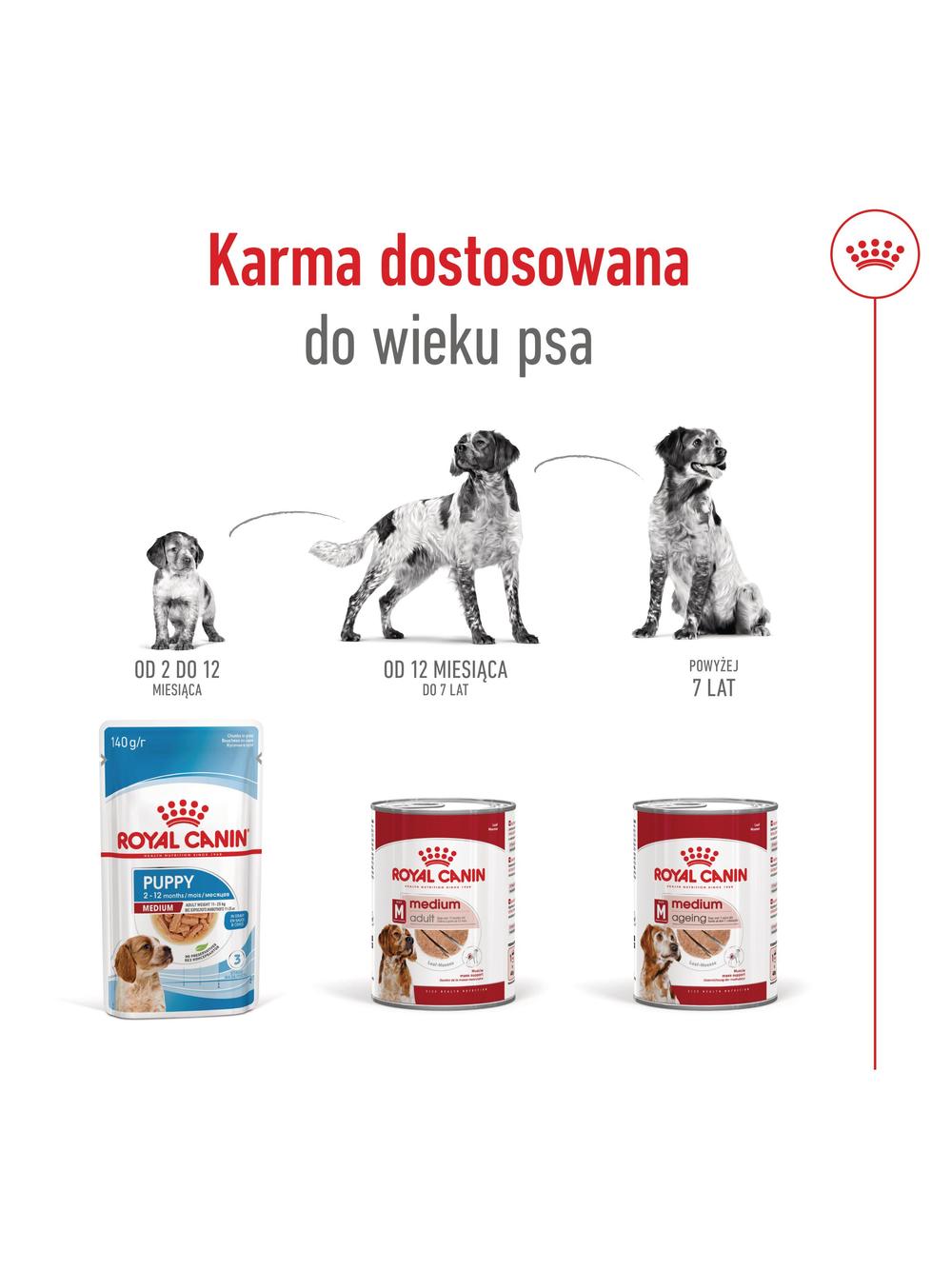 ROYAL CANIN® Medium Ageing 7+ 410g karma mokra, pasztet, dla psów starszych od 7. roku życia, ras średnich