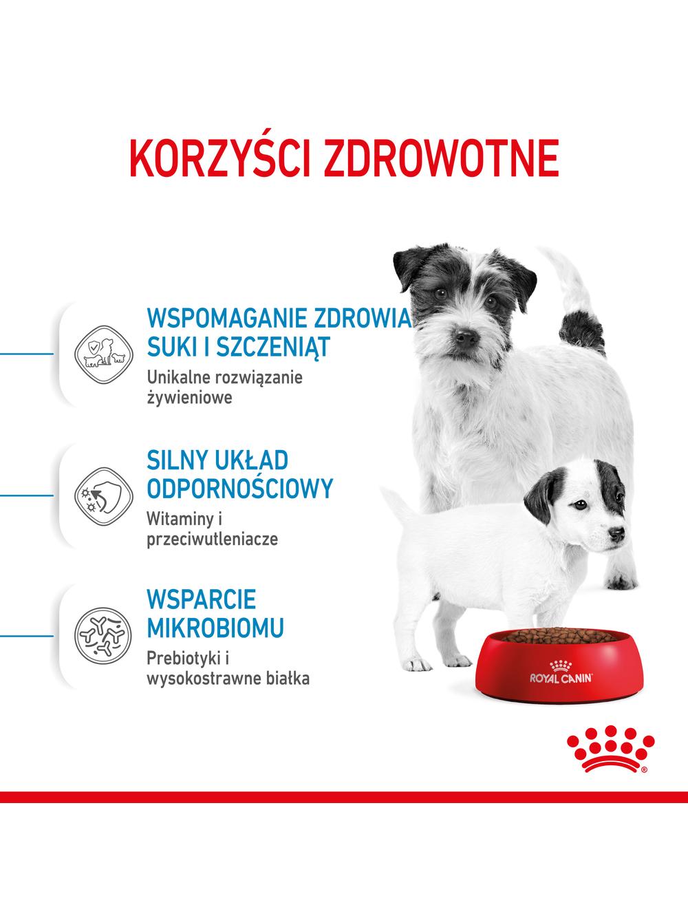 ROYAL CANIN Mini Starter Mother & Babydog 1kg karma sucha dla suk w ciąży i okresie laktacji oraz szczeniąt, od 4 do 8 tygodnia, ras małych  + niespodzianka dla psa GRATIS!