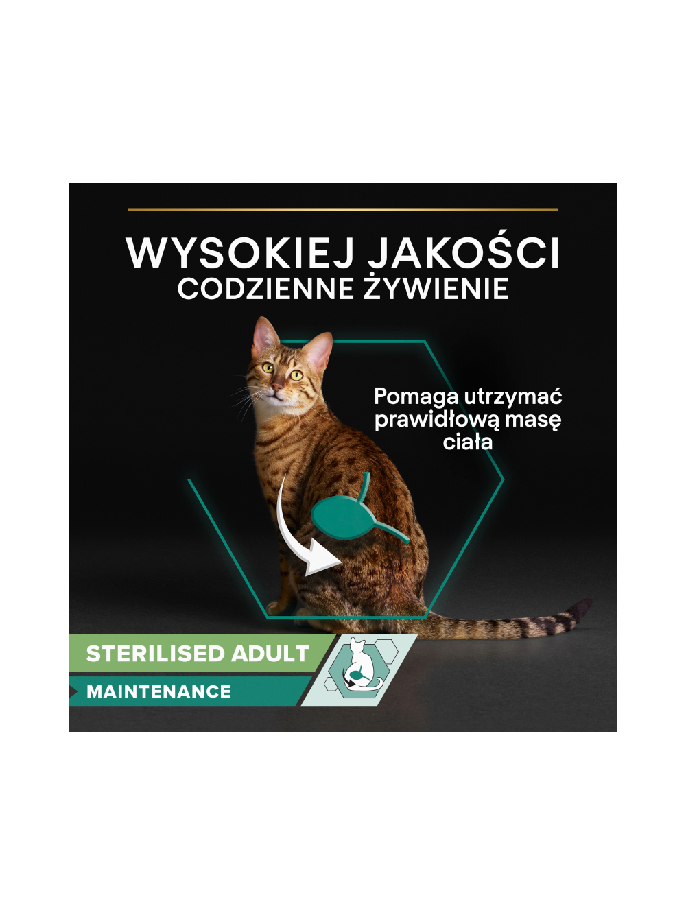 PRO PLAN Sterilised Mokra karma dla kotów wysterylizowanych z wołowiną i kurczakiem w sosie 10x85g
