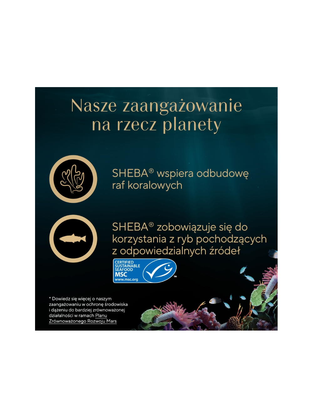 SHEBA Filets mokra karma dla kota z tuńczykiem w sosie 60g