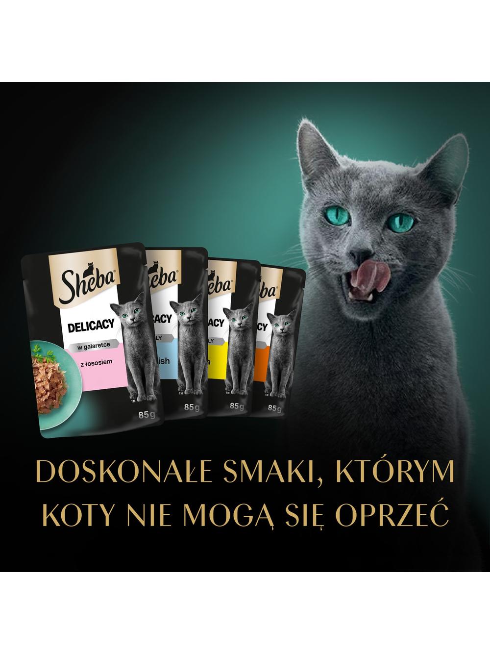 SHEBA Delicacy Fine Flakes Wybór Smaków saszetki 4x85 g – mokra karma pełnoporcjowa dla dorosłych kotów, w galaretce (kawałki z: łososiem, białą rybą, kurczakiem, indykiem)