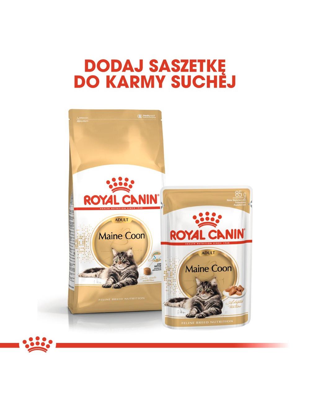 ROYAL CANIN Maine Coon Adult 4kg karma sucha dla kotów dorosłych rasy maine coon
