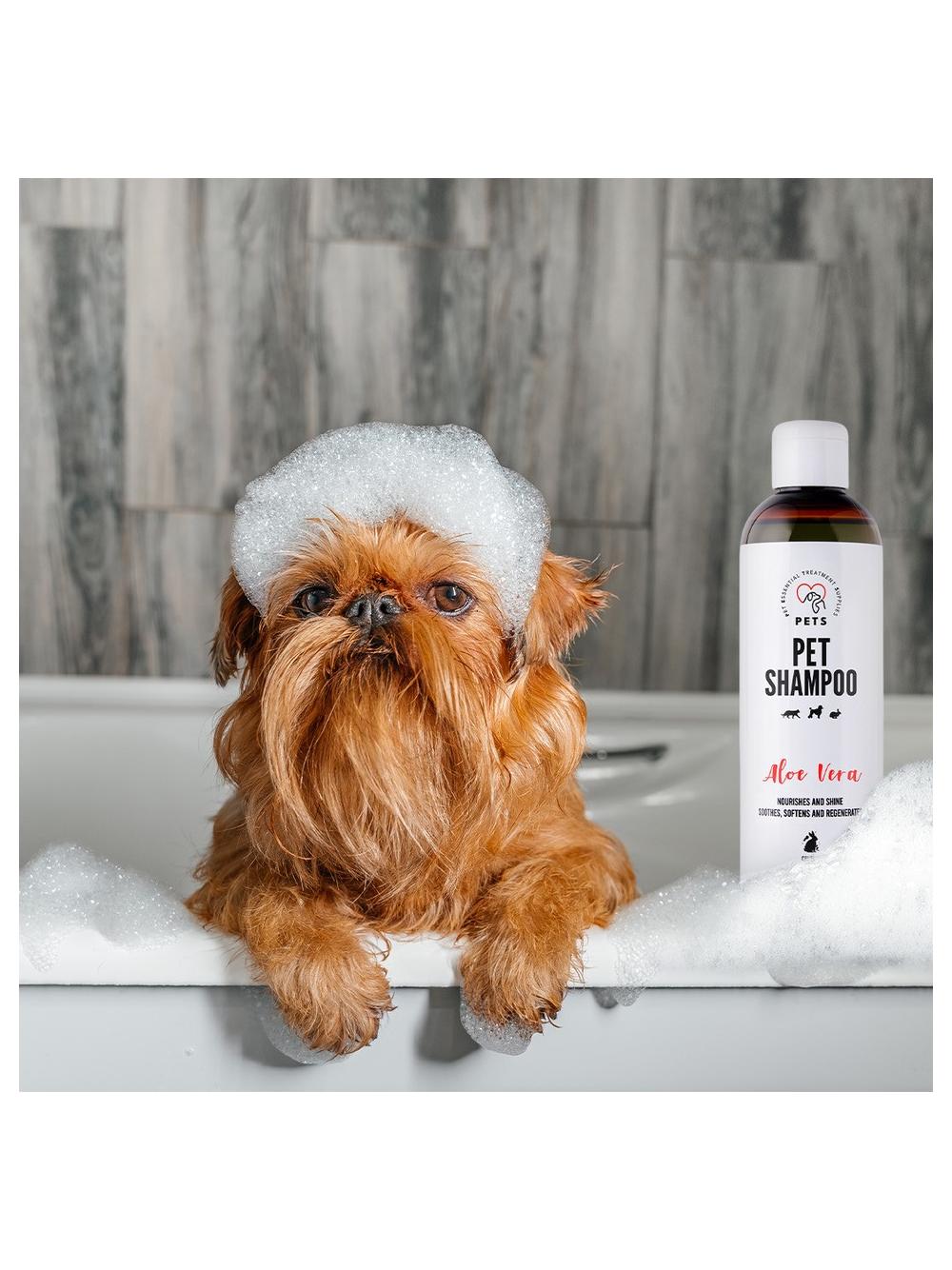 PET Shampoo Aloe Vera/Szampon Aloesowy 250ml Odżywczy i nabłyszczający + PETS ANTI INSECT - skuteczna ochrona przeciw kleszczom, pchłom oraz innym owadom 250ml