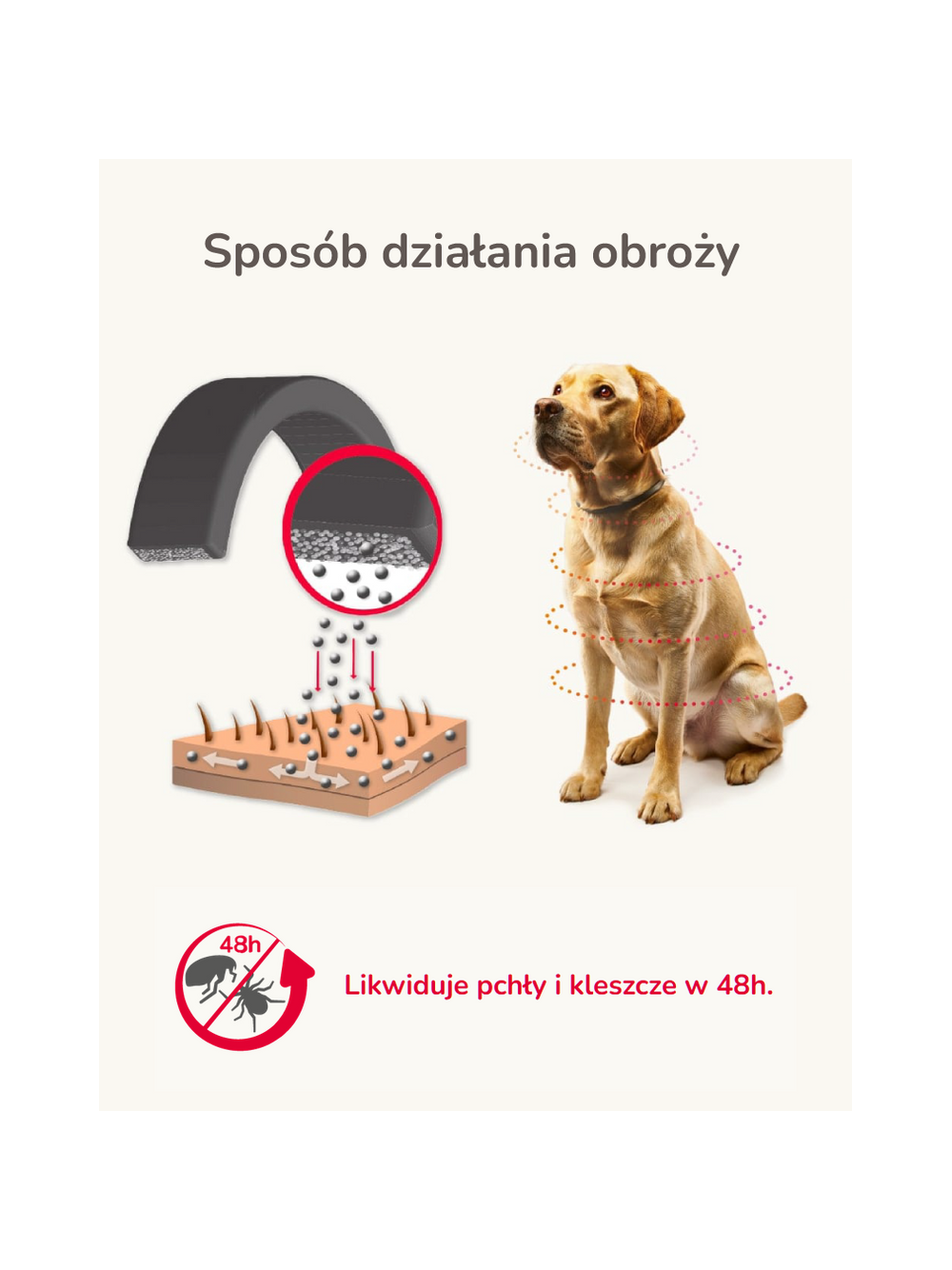 Beaphar Obroża Biobójcza Permecta Dog S 50cm