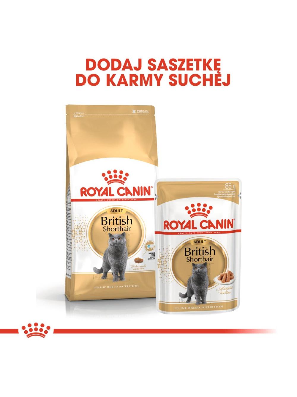 ROYAL CANIN British Shorthair Adult saszetka 12x85g (Sos) karma mokra w sosie dla kotów dorosłych rasy brytyjski krótkowłosy