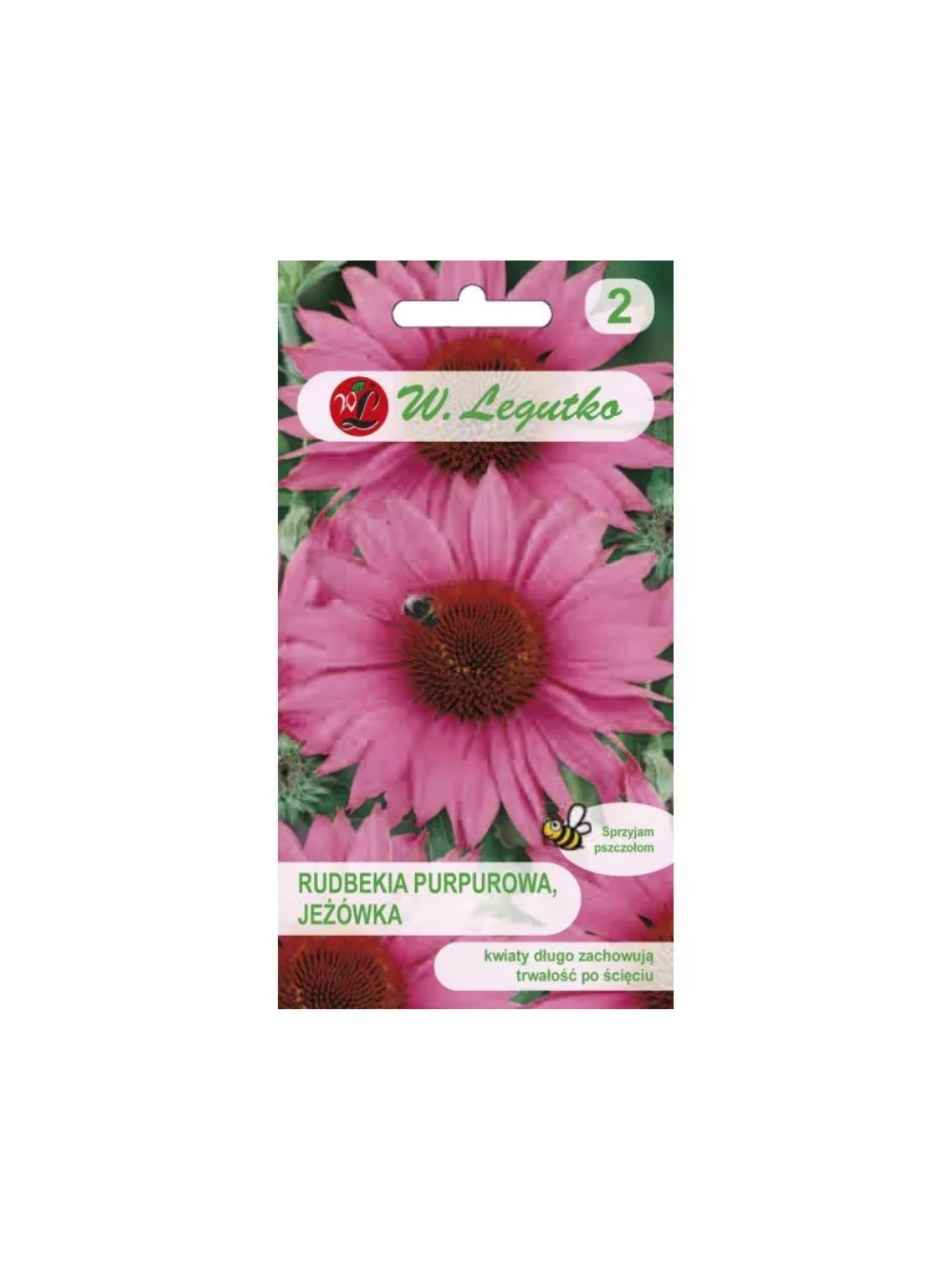 Rudbekia purpurowa, Jeżówka - różowa