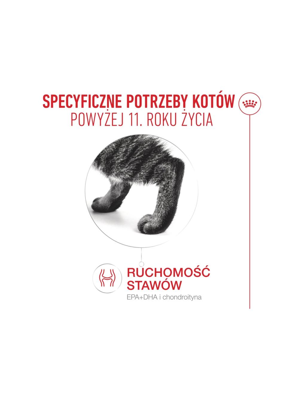 ROYAL CANIN mokra karma dla kotów, Senior Ageing 11+, sos12x85 g