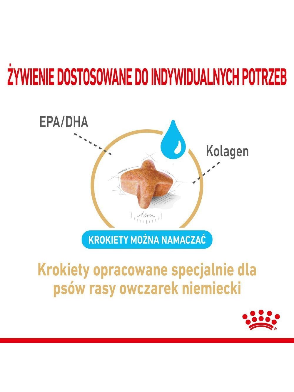 ROYAL CANIN German Shepherd Adult 5+ 12kg karma sucha dla psów dorosłych rasy owczarek niemiecki, powyżej 5 roku życia