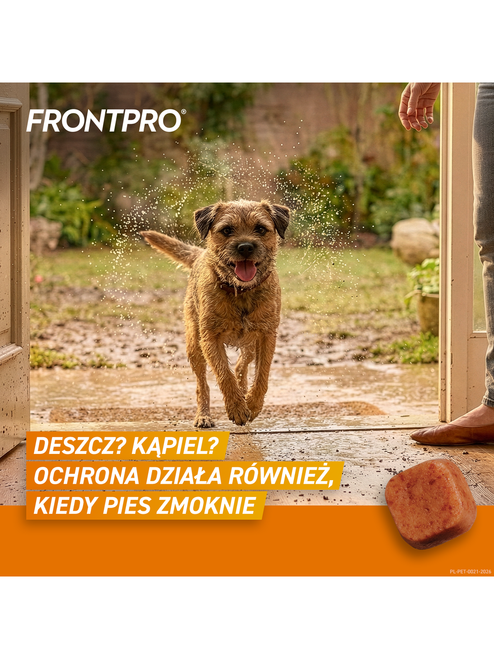 Frontpro tabletki na pchły i kleszcze M 28,3mg 4-10kg 1 TABLETKA