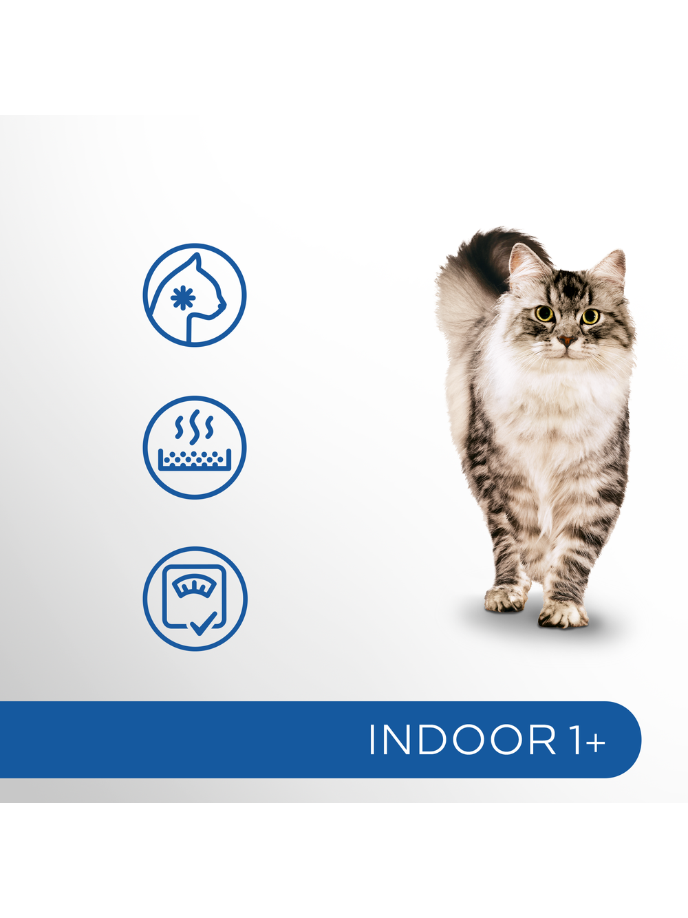 PERFECT FIT (Indoor 1+) 4x750g Bogaty w kurczaka - sucha karma dla kota żyjącego w domu