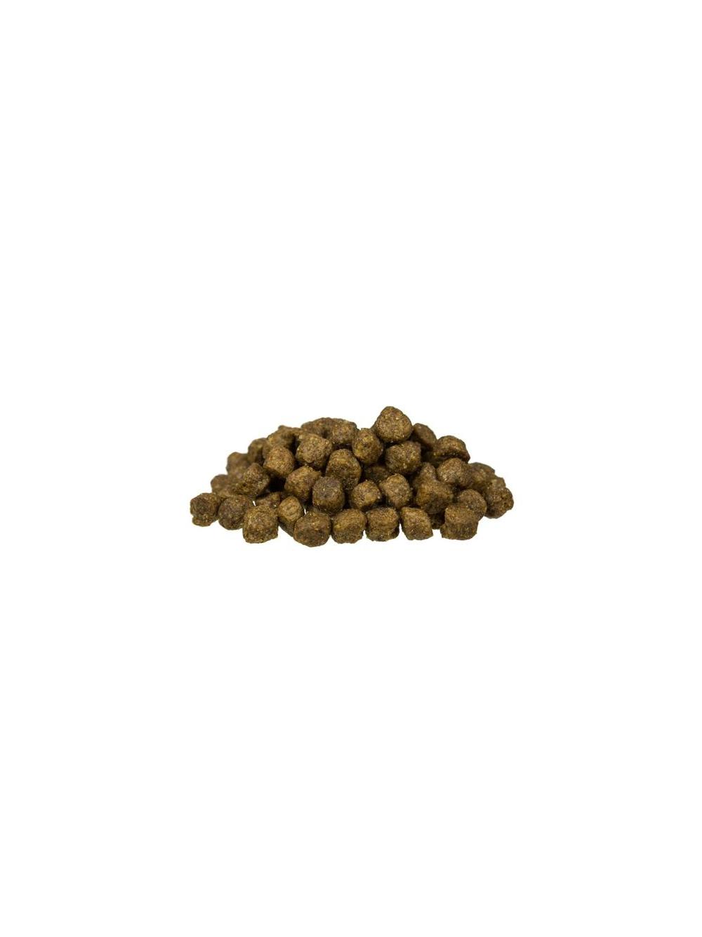 Bosch Senior 1kg  + niespodzianka dla psa GRATIS