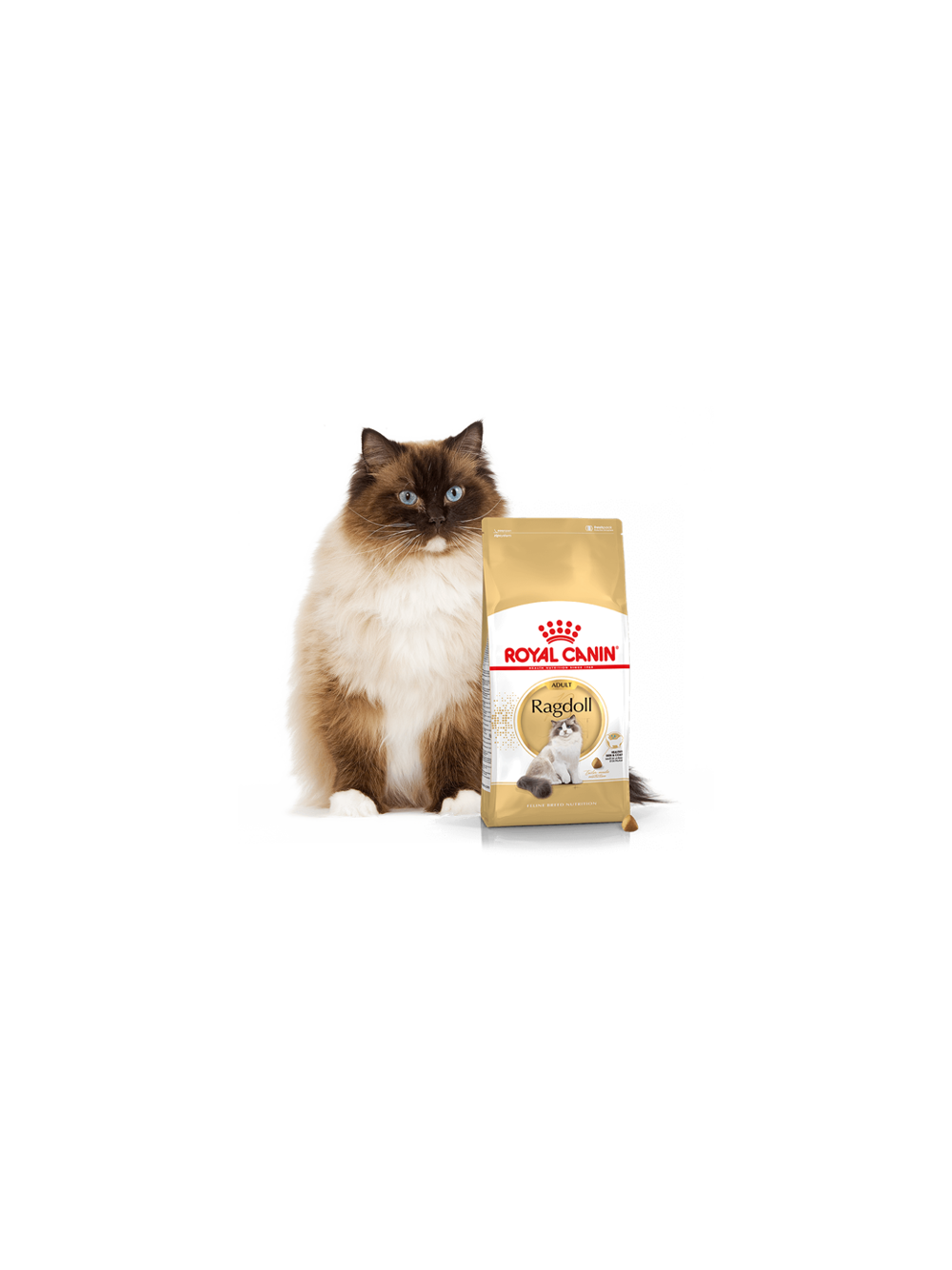 ROYAL CANIN Ragdoll Adult 10kg karma sucha dla kotów dorosłych rasy ragdoll  + niespodzianka dla kota GRATIS!
