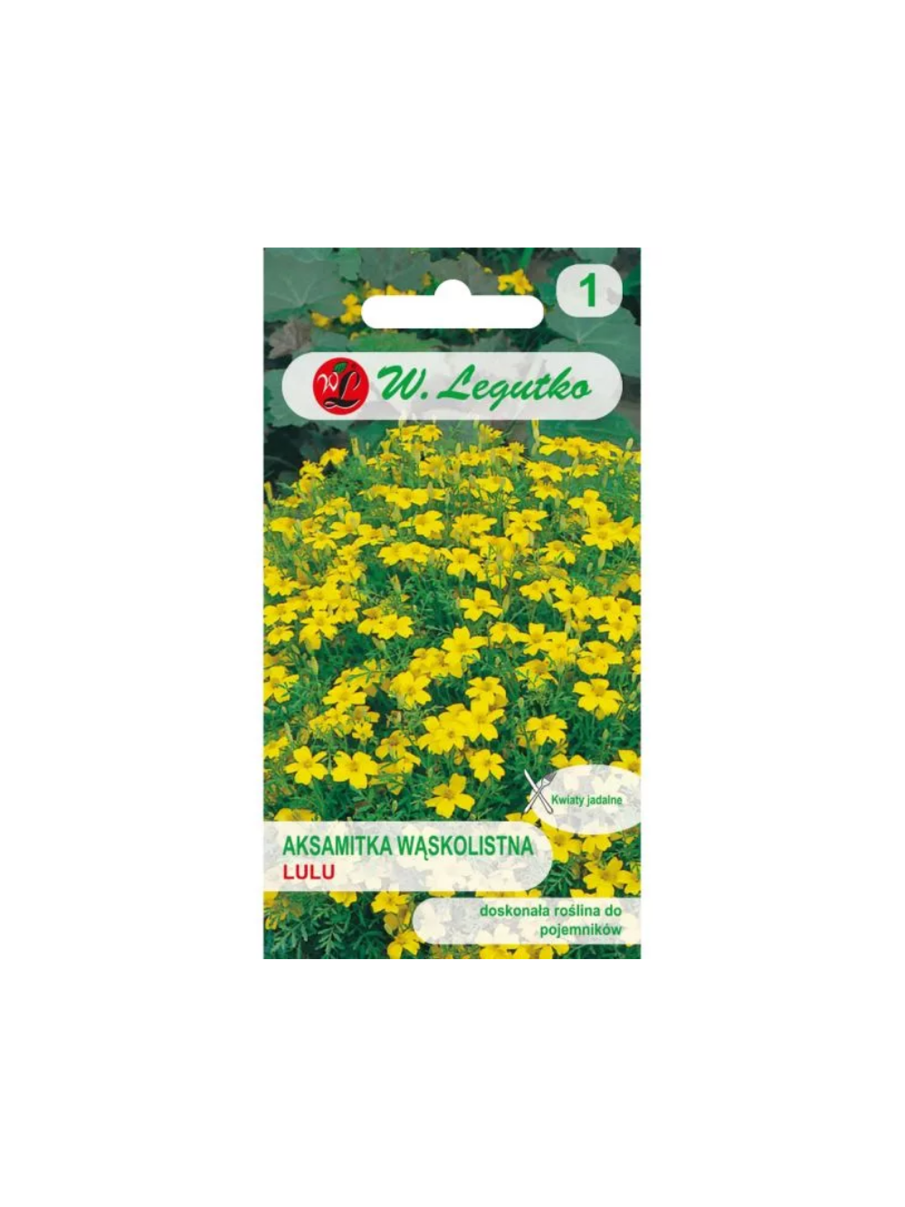 Aksamitka wąskolistna Lulu - cytrynowo-żółta