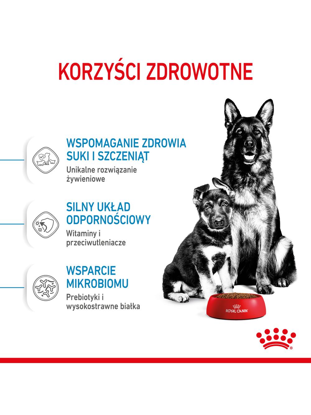 ROYAL CANIN Maxi Starter Mother&Babydog 15kg karma sucha dla suk w ciąży i okresie laktacji oraz szczeniąt, od 4 do 8 tygodnia życia, ras dużych