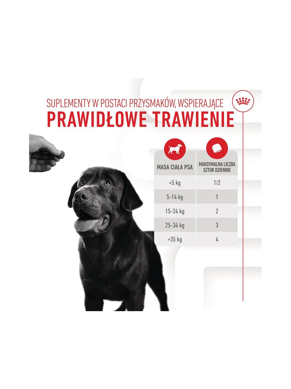 Royal Canin Digestion Adult Chews 160g