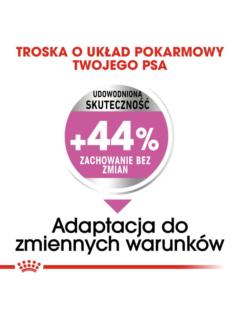 ROYAL CANIN CCN Mini Relax Care 8kg + niespodzianka dla psa GRATIS!