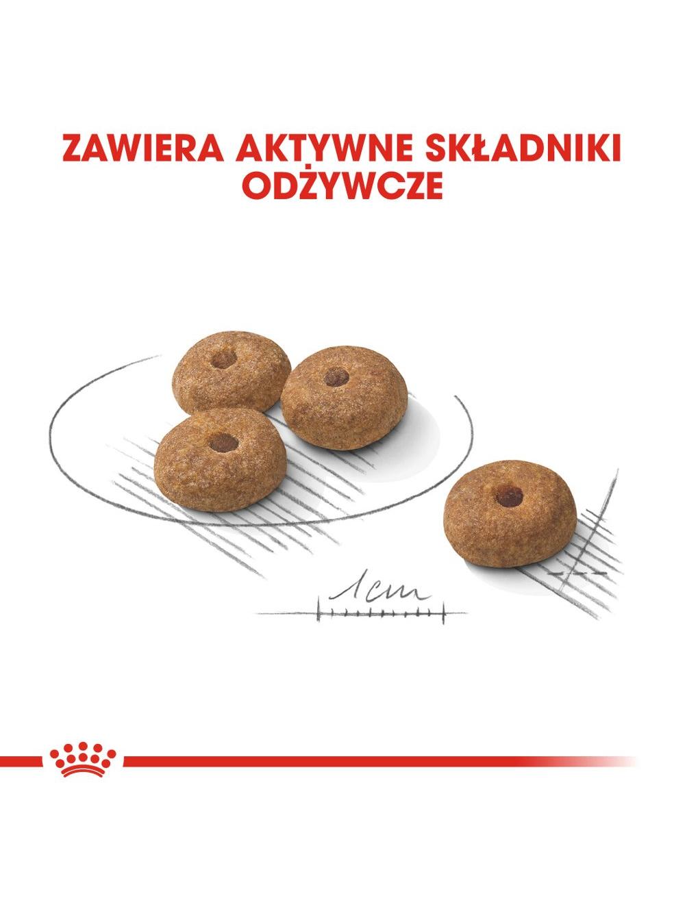 ROYAL CANIN CCN Mini Sterilised 3kg karma sucha dla psów dorosłych, ras małych, sterylizowanych /Opakowanie uszkodzone (7786,7782) !!!